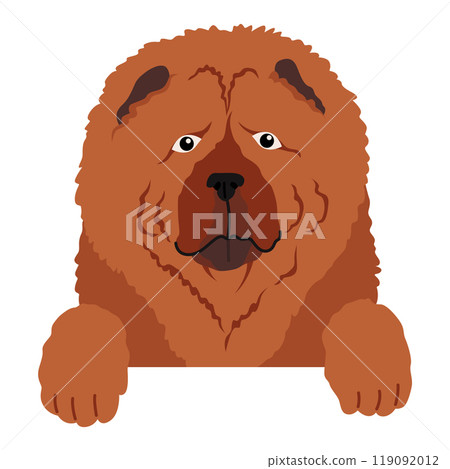 Dog hanging on border. Portrait of muzzles with paws. Front view. Flat vector design 119092012