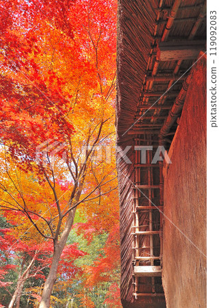 Autumn leaves hunting 119092083