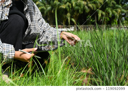 Farmer using digital tablet to recording or analyzing data about the crops. Smart agriculture and technology concept Farmer using digital tablet to recording or analyzing data about the crops. Smart agriculture and technology concept 119092099