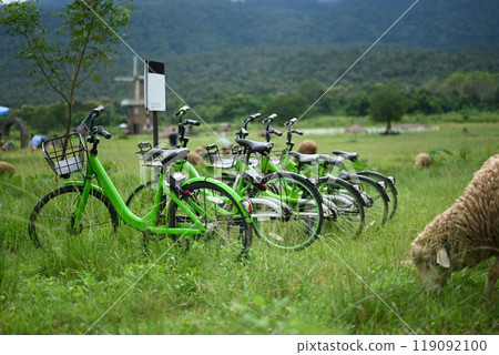 Scene is peaceful and serene with rental bikes and a sheep grazing grass nearby Scene is peaceful and serene with rental bikes and a sheep grazing grass nearby 119092100