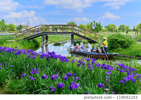 Suigou Sawara Iris Park, Chiba Prefecture Suigou Sawara Iris Park, Chiba Prefecture 119092283