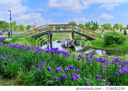 Suigou Sawara Iris Park, Chiba Prefecture Suigou Sawara Iris Park, Chiba Prefecture 119092284