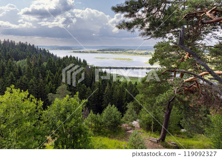 Summer mountain landscape with pine trees growing on rocky ground Summer mountain landscape with pine trees growing on rocky ground 119092327