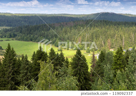 Summer landscape of fields and trees under blue sky. Karelia Summer landscape of fields and trees under blue sky. Karelia 119092337