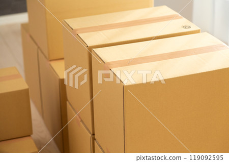 許多裝有移動行李的紙板箱 119092595