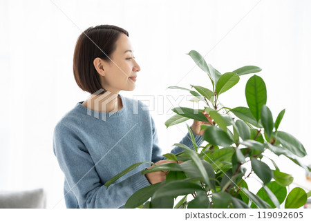 A woman who cares for foliage plants A woman who cares for foliage plants 119092605