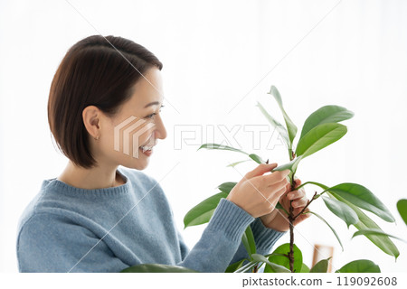 A woman who cares for foliage plants A woman who cares for foliage plants 119092608