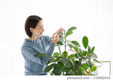 A woman who cares for foliage plants A woman who cares for foliage plants 119092610