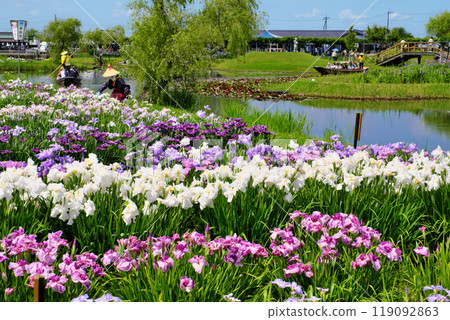 Suigou Sawara Iris Park, Chiba Prefecture 119092863