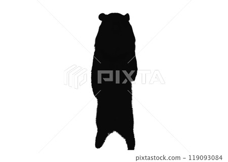 bear silhouette isolated on white background Bear icon modern symbol logo 119093084