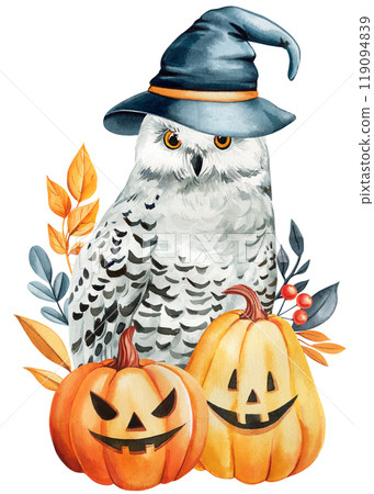 Cute owl in witch hat, pumpkin with fall leaves, watercolor hand-painted halloween illustration, seasonal design, poster Cute owl in witch hat, pumpkin with fall leaves, watercolor hand-painted halloween illustration, seasonal design, poster 119094839