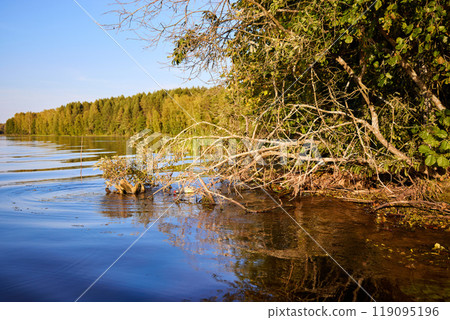 Serene Riverbank Scene with Lush Greenery Serene Riverbank Scene with Lush Greenery 119095196