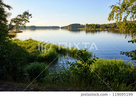 Serene Riverbank Scene with Lush Greenery Serene Riverbank Scene with Lush Greenery 119095199