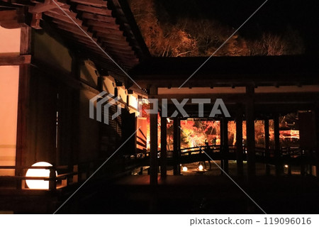 Autumn leaves light up at night Autumn leaves light up at night 119096016