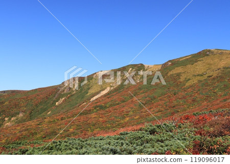Autumn foliage on Mount Kurikoma on a clear day 119096017