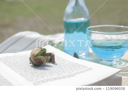 帶著外文書和清涼飲料去野餐造型寫真 帶著外文書和清涼飲料去野餐造型寫真 119096038