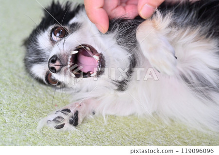 一名男子的主人在抓臉時被狗咬傷了手指。 一名男子的主人在抓臉時被狗咬傷了手指。 119096096