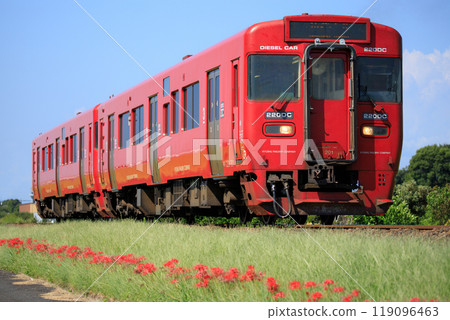 A Kiha 220 diesel railcar travels along the Kyudai Main Line amid blooming red spider lilies (JR Kyushu) 119096463