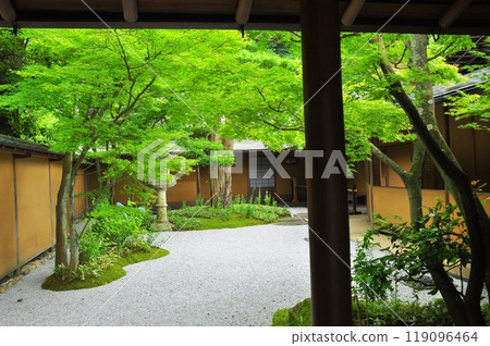 鎌倉市一條京觀山莊院子裡的鮮綠色 鎌倉市一條京觀山莊院子裡的鮮綠色 119096464