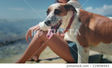 Cute dog relax on beach with its female owner, close up. Pet on fresh air outdoor nature sea landscape. Enjoy time together, friendship, summer vacation concept. Friends forever. Cute dog relax on beach with its female owner, close up. Pet on fresh air outdoor nature sea landscape. Enjoy time together, friendship, summer vacation concept. Friends forever. 119096883