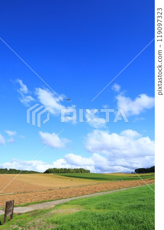 A refreshing landscape with a blue sky typical of Hokkaido 119097323