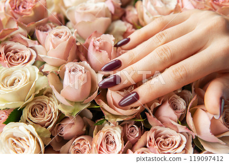 Elegant hand with dark maroon nails resting on a bed of soft pink and cream roses Elegant hand with dark maroon nails resting on a bed of soft pink and cream roses 119097412