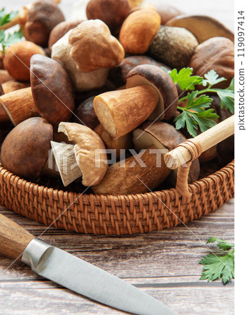 Freshly harvested mushrooms arranged in a woven basket with a knife and herbs Freshly harvested mushrooms arranged in a woven basket with a knife and herbs 119097414