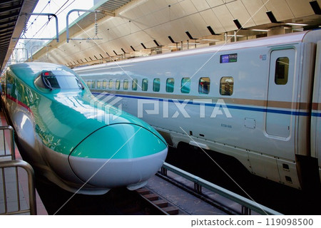 Take the Hayabusa to Sendai 119098500