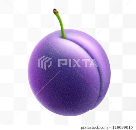 Juicy sweet plum isolated on transparent background. Purple plum fruits, prunes, natural berries, date fruit, fresh organic food. Realistic vector 3d illustration 119099010
