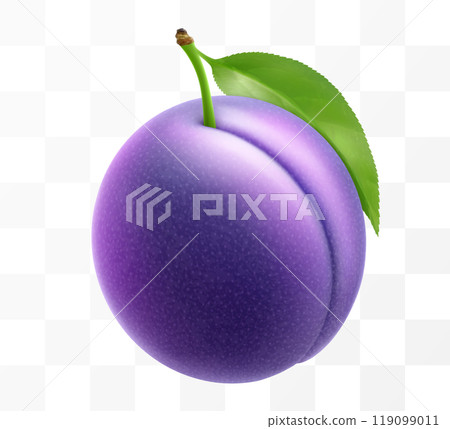 Juicy sweet plum isolated on transparent background. Purple plum fruits, prunes, natural berries, date fruit, fresh organic food. Realistic vector 3d illustration 119099011