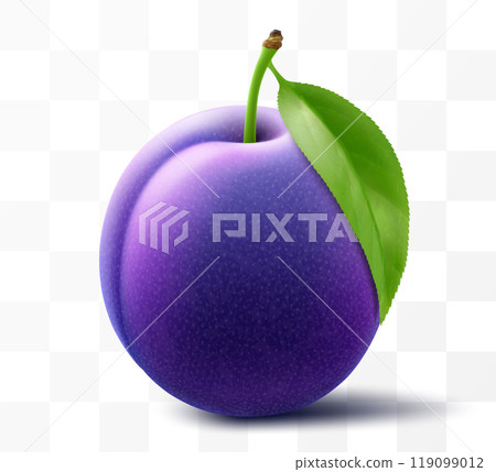 Juicy sweet plum isolated on transparent background. Purple plum fruits, prunes, natural berries, date fruit, fresh organic food. Realistic vector 3d illustration 119099012