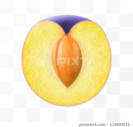 Half of a juicy plum with a stone isolated on transparent background. Oval purple plum fruits, prunes, natural berries, date fruit, fresh organic food. Realistic vector 3d illustration 119099016