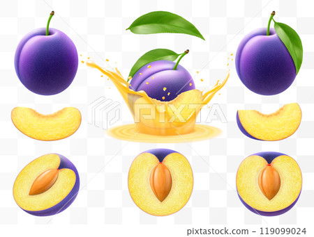 Whole, half and sliced of plum, purple plum falls into a splash of juice, Plum with stone isolated on transparent background. Set fruits, fresh organic food. Realistic vector 3d illustration 119099024
