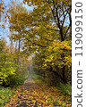 Dirt path in autumnal park covered with fallen yellow leaves 119099150