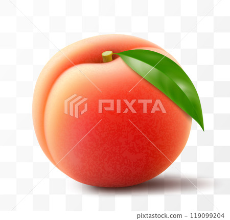 Ripe juicy peach isolated on transparent background. Delicious sweet fruit. Realistic 3d vector illustration. Summer design. Concept of healthy food, vegetarian dieting 119099204