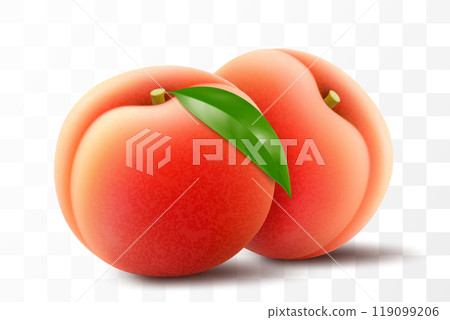Ripe juicy peach isolated on transparent background. Delicious sweet fruit. Realistic 3d vector illustration. Summer design. Concept of healthy food, vegetarian dieting 119099206
