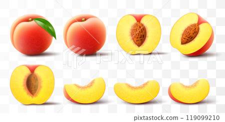 Ripe peach fruit illustration. Half, whole and slice of juicy peach isolated on transparent background. Realistic 3d vector set. Velvety, golden-orange plant with green leaf Ripe peach fruit illustration. Half, whole and slice of juicy peach isolated on transparent background. Realistic 3d vector set. Velvety, golden-orange plant with green leaf 119099210