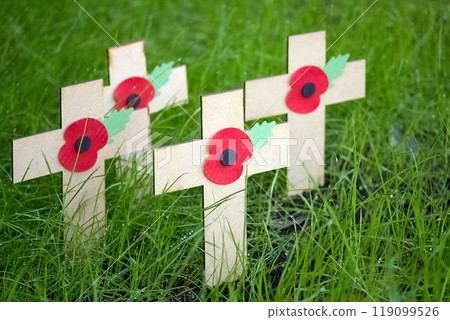 Remembrance day. Poppy Memorial Crosses 119099526