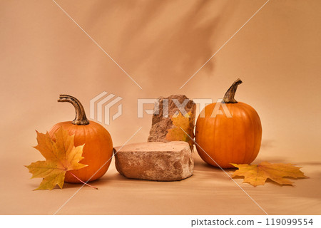 Autumn empty podium with autumn leaves and pumpkins. 119099554