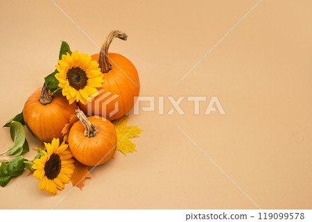 Thanksgiving day, harvest, autumn and fall background 119099578