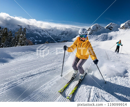 People who enjoy skiing People who enjoy skiing 119099914