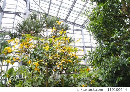大阪府大阪市鶴見區作野花館/綠地公園2 大阪府大阪市鶴見區作野花館/綠地公園2 119100644