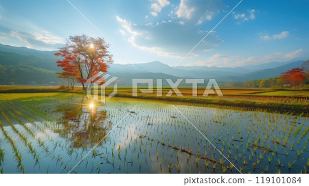 A clear autumn sky over a harvested rice field A clear autumn sky over a harvested rice field 119101084