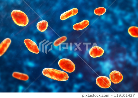 Rothia dentocariosa bacteria, 3D illustration 119101427