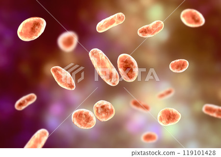 Rothia dentocariosa bacteria, 3D illustration 119101428