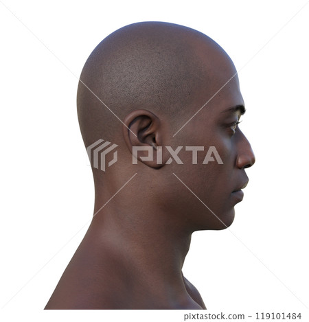 A young African man's hairless head from side view, 3D illustration A young African man's hairless head from side view, 3D illustration 119101484