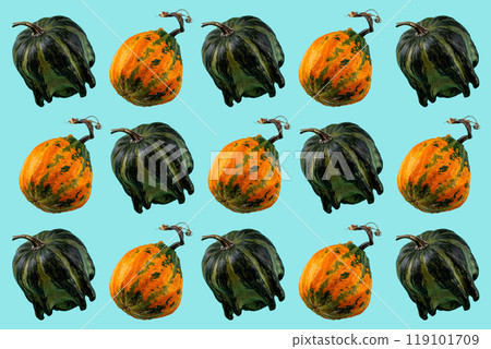 Pumpkin isolated on color background. Pattern collage 119101709