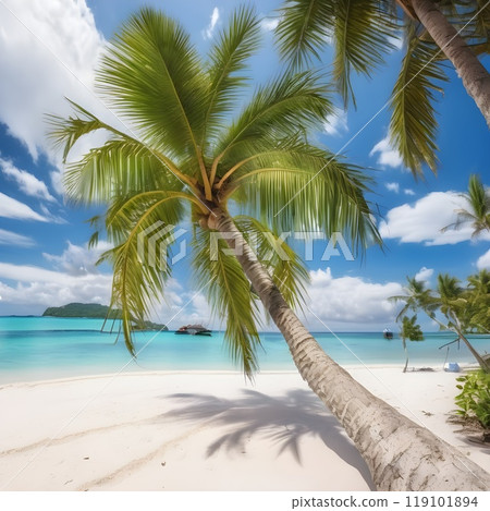 Tropical Paradise: Discovering the Best Beach Destinations 119101894