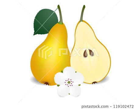 Whole pear with leaves, half with seeds and flower, isolated on white. 119102472