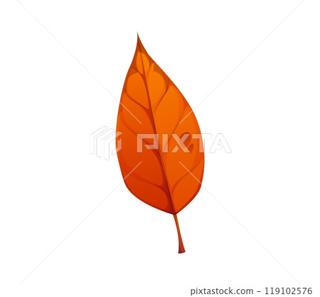 Cartoon autumn leaf, capturing the vibrant colors of fall. Isolated vector bright orange leaf conveys a warm and cozy feeling, symbolizing the change of seasons. Colorful natural fallen tree foliage Cartoon autumn leaf, capturing the vibrant colors of fall. Isolated vector bright orange leaf conveys a warm and cozy feeling, symbolizing the change of seasons. Colorful natural fallen tree foliage 119102576